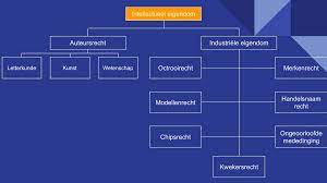 Het Belang van Intellectueel Eigendom in de Moderne Samenleving