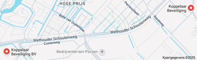 De Cruciale Rol van Koppelaar Beveiliging in de Digitale Wereld