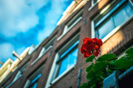 Gratis Juridisch Advies bij het Juridisch Loket in Tiel