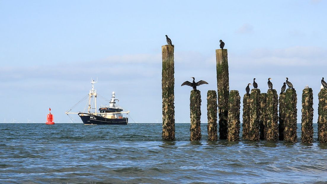 De Belangrijke Rol van een Merkstrateeg in Bedrijfsstrategieën